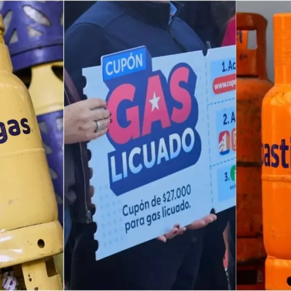Más de 143 mil personas ya activaron su cupón de gas en La Araucanía
