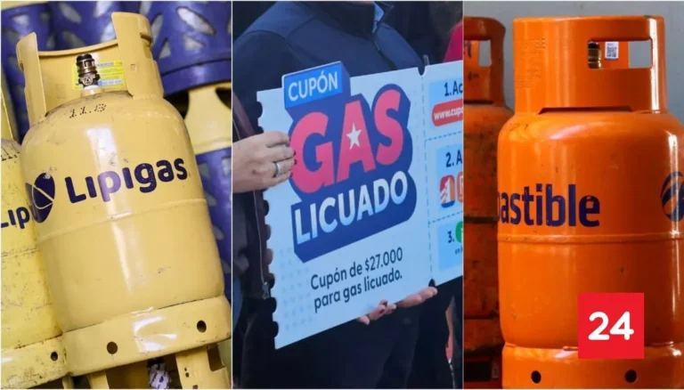 Más de 143 mil personas ya activaron su cupón de gas en La Araucanía