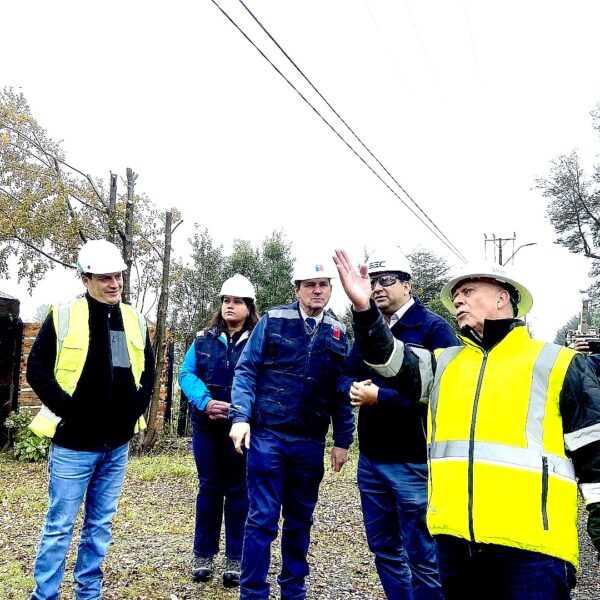 Seremi Rathgeb llama a los vecinos, municipalidades, empresas agroforestales y distribuidoras a cuidar el suministro eléctrico