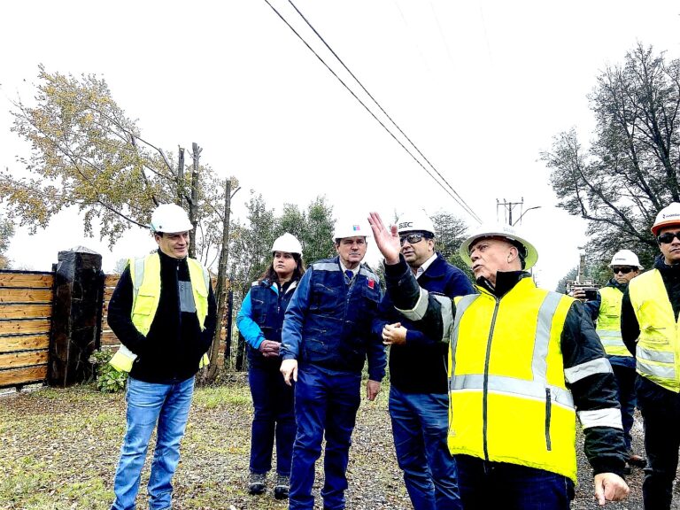 Seremi Rathgeb llama a los vecinos, municipalidades, empresas agroforestales y distribuidoras a cuidar el suministro eléctrico