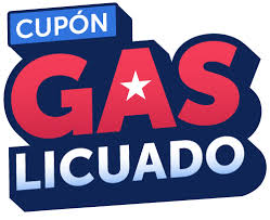 Gobierno se coordina con los municipios de La Araucanía para fortalecer la puesta en marcha del Cupón de Gas