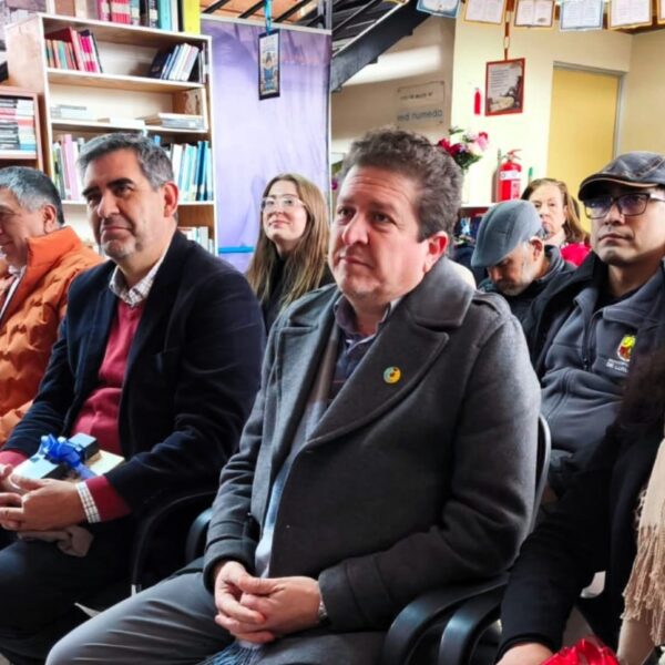 Biblioteca Municipal de Lumaco estrenó mil libros nuevos