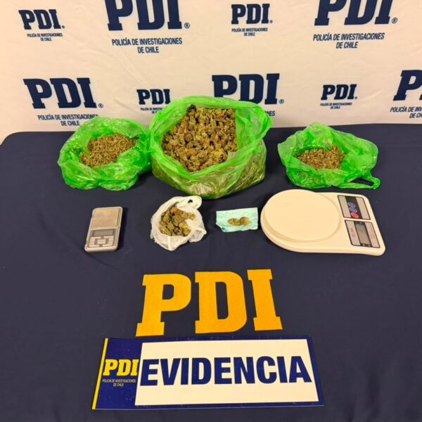 ANGOL: PDI SACA DE CIRCULACIÓN 667 DOSIS DE CANNABIS SATIVA AVALUADA EN MÁS DE 3 MILLONES DE PESOS