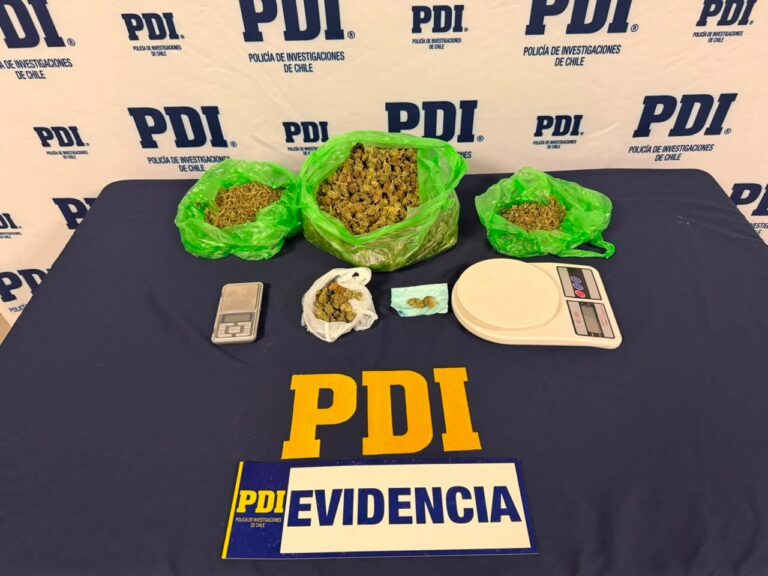 ANGOL: PDI SACA DE CIRCULACIÓN 667 DOSIS DE CANNABIS SATIVA AVALUADA EN MÁS DE 3 MILLONES DE PESOS