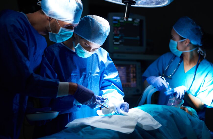 Cómo enfrentar el desafío de fortalecer la donación de órganos y la importancia del cuidado de los pacientes trasplantados