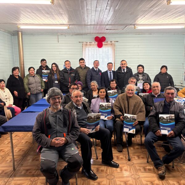 FAMILIAS DE SECTOR RURAL DE ANGOL ACCEDEN POR PRIMERA VEZ A ELECTRICIDAD GRACIAS A PROYECTO FOTOVOLTAICO