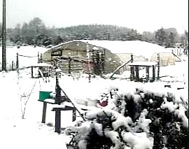 La nieve cubrió de blanco diversos sectores rurales de Collipulli tras el paso del sistema frontal