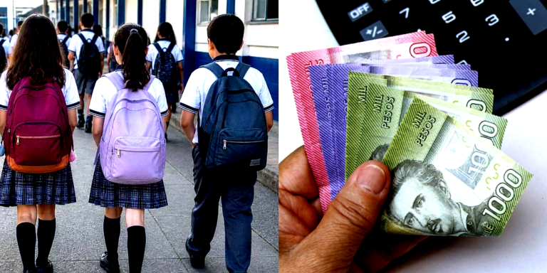 Cerca de 21 mil estudiantes de La Araucanía recibirán el Bono Logro Escolar 2026