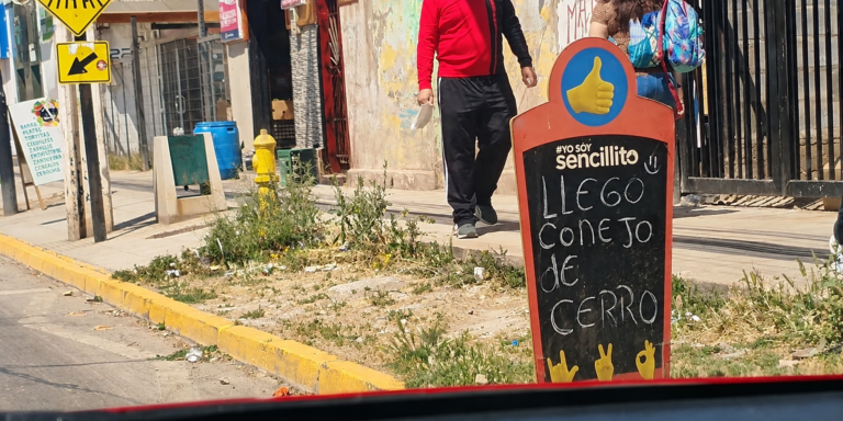 Estudio U. de Chile demuestra que conejos silvestres pueden transmitir el parásito de Chagas a vinchucas