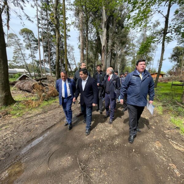 Más de $2500 millones transfiere el Gobierno a municipios de la Araucanía para recuperar infraestructura perdida tras frente climático